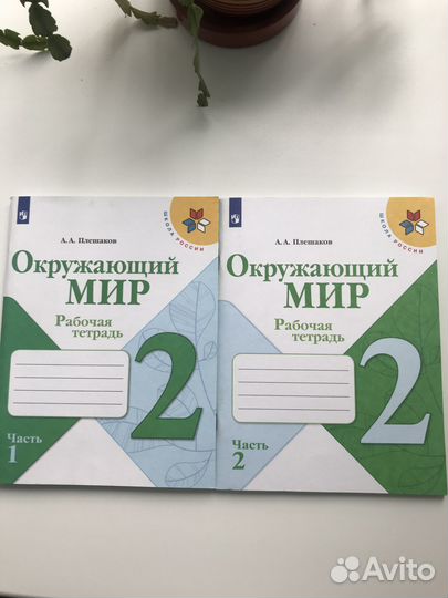 Рабочая тетрадь 2 класс окружающий мир