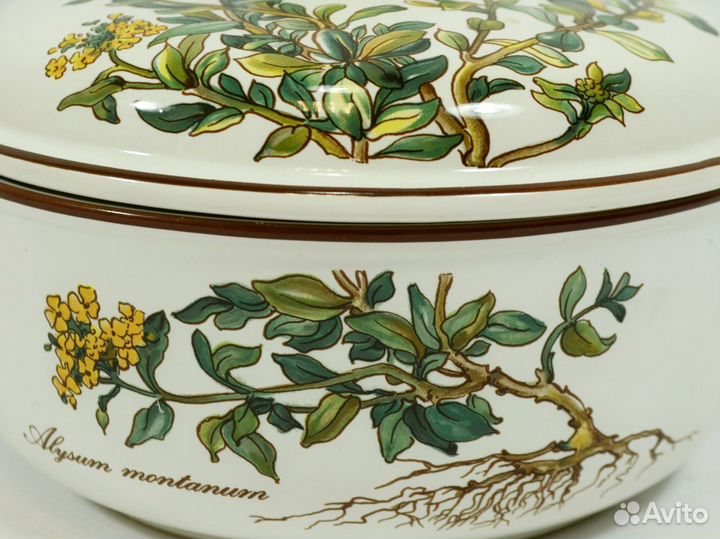 Botanica Villeroy Boch супница Alysum montanum