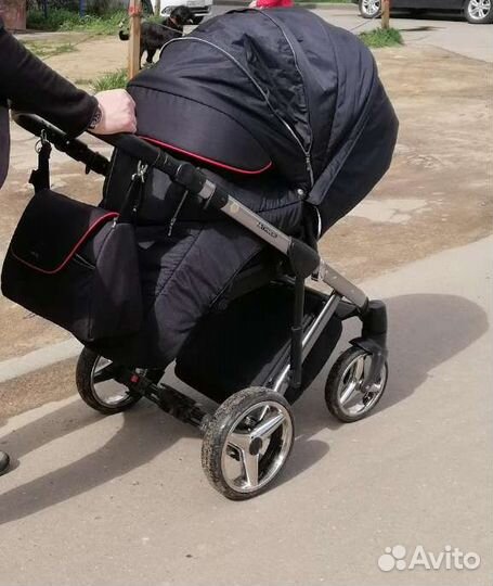 Коляска 2 в 1 adamex chantal