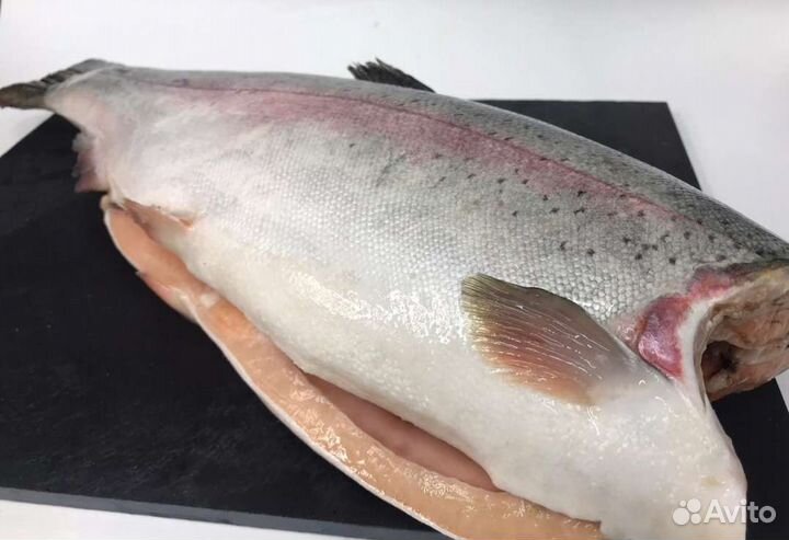 Форель тушка 2023г