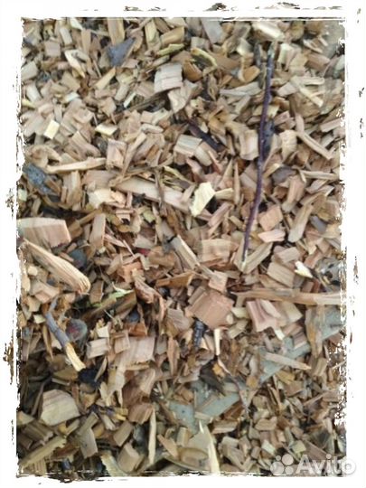 Щипа берёзы