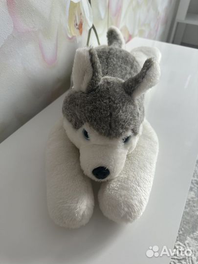 Хаски плюшевый