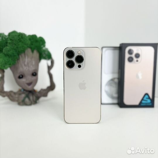 iPhone 13 Pro, 256 ГБ