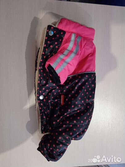 Комбинезон для маленькой собаки зима