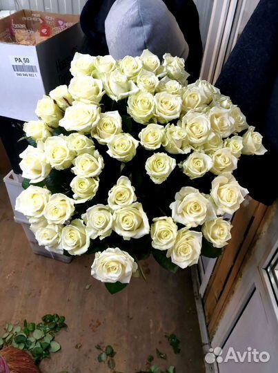 Букет роз. Розы