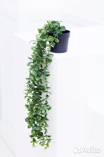 Искусственные растения / Искусственные цветы