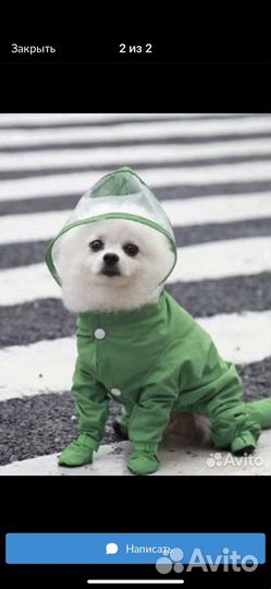 Дождевик для собаки