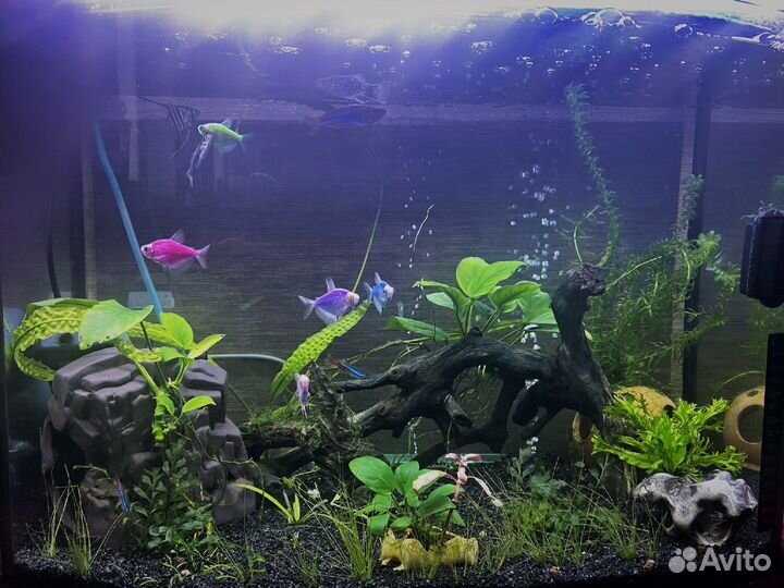 Чистка аквариума