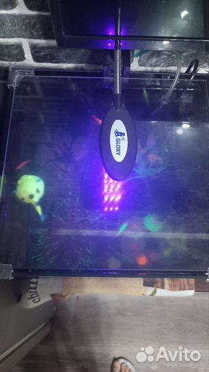 Аквариум с рыбками люминисцентный Gloxy