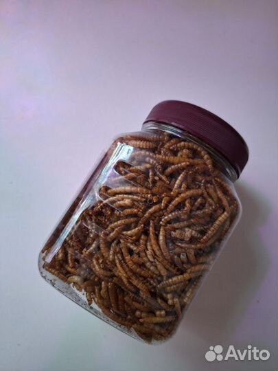 Корм для грызунов