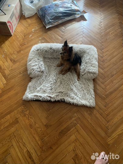 Лежанка для животных