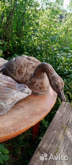 Приманки для охоты