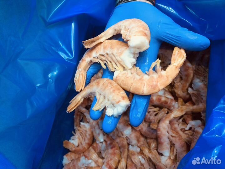 Аргентинские Лангустины C1 без голов