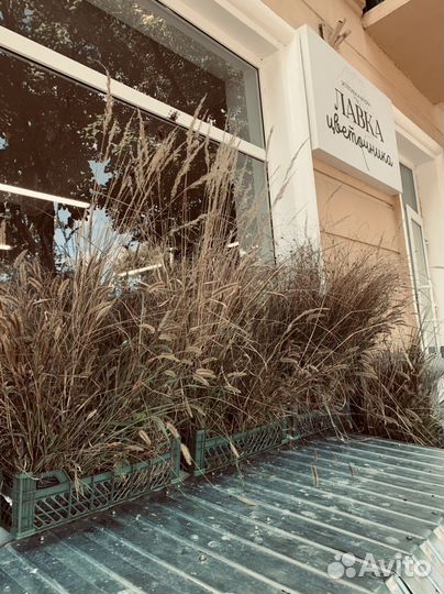 Декорации для витрин