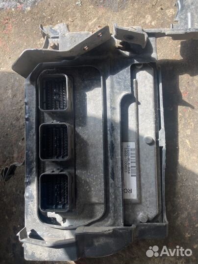 Honda Accord 8 2.4 рестайлинг Мозги 2011