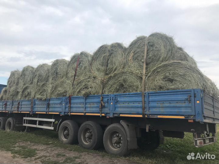 Сено в рулонах с доставкой