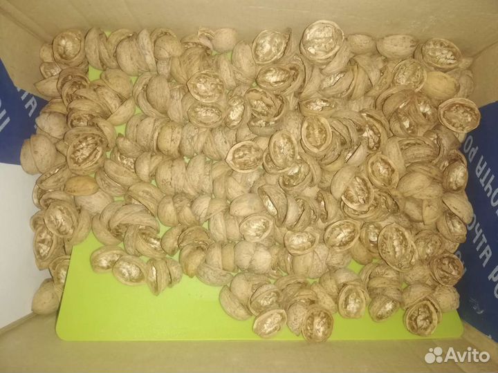 Скорлупа грецкого ореха