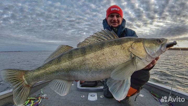 Приманка силиконовая Frapp Funky Grub 10