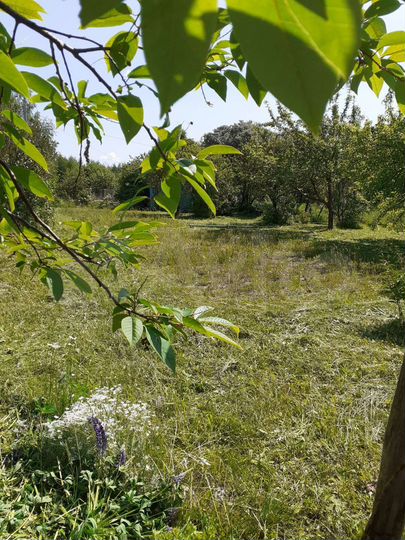 Участок 10 сот. (СНТ, ДНП)