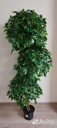 Искусственное дерево фикус каскад