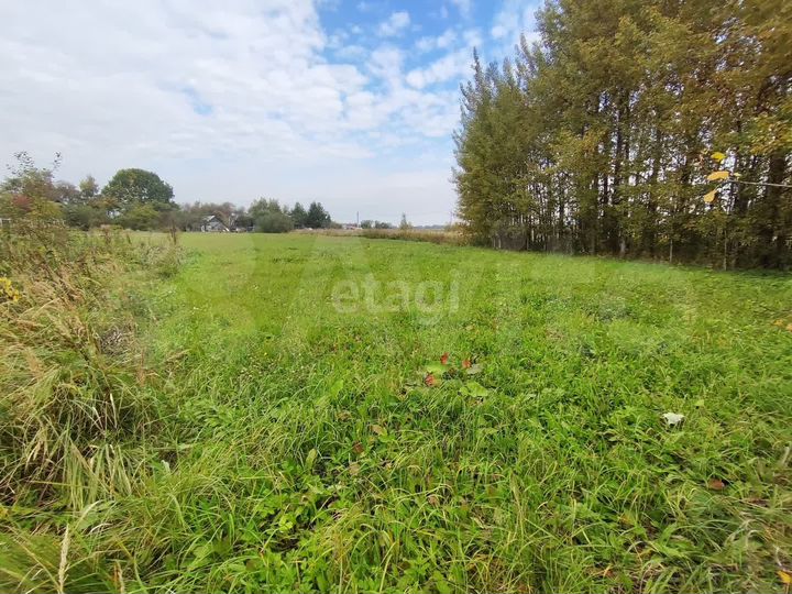 Участок 25 сот. (личное подсобное хозяйство (лпх))