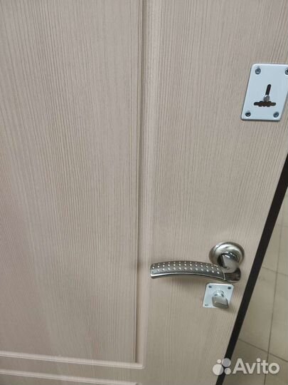 Дверь входная металлическая эконом