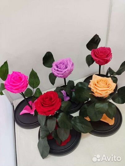 Роза в колбе опт и розница