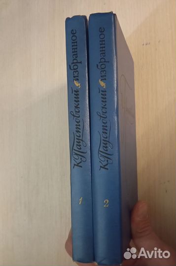 Паустовский. Избранные произведения в 2 томах