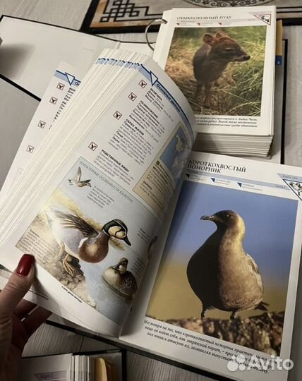 5 томов энциклопедии В мире дикой природы