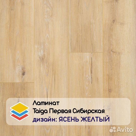 Ламинат Taiga Первая Сибирская, 10 мм