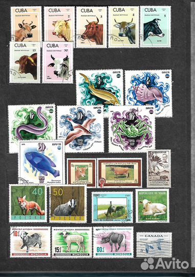 Марки Фауна. Часть 5