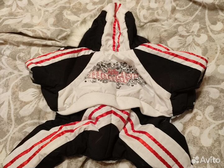 Зимняя одежда для собак