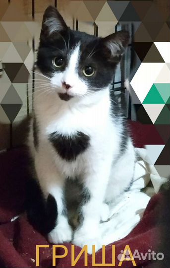 Европейская