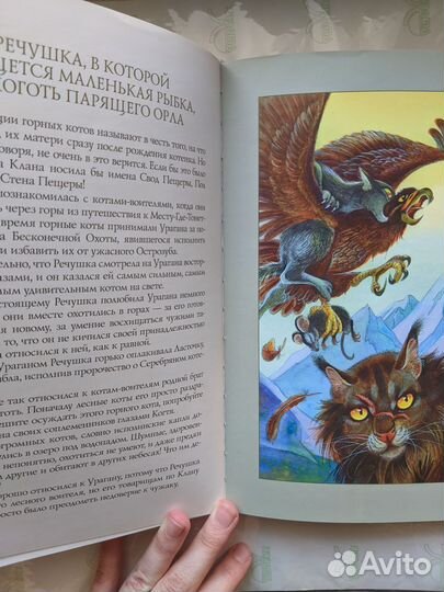 Коты-воители 