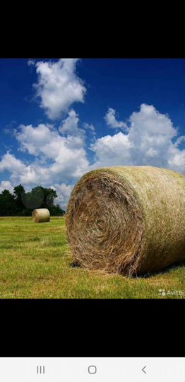 Участок 42 га (СНТ, ДНП)