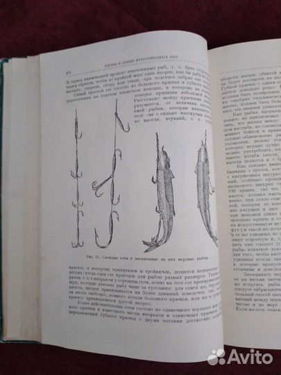 Охота, рыбалка, путешествия