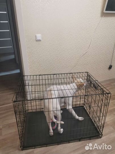 Клетка вольер для собак