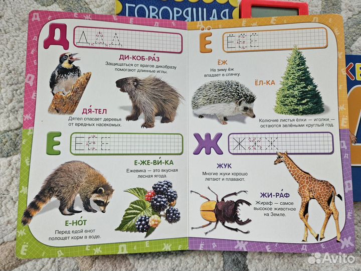 Азбука, букварь