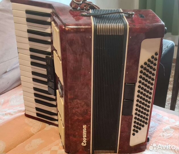 Аккордеон Сюита