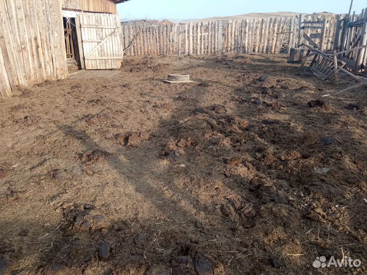 Навоз, перегной