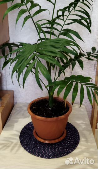 Салфетка интерьерная