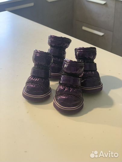 Ботинки для собаки