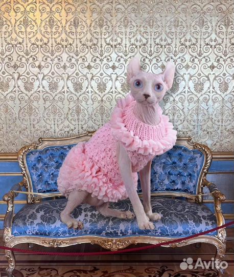 Девочка эльф