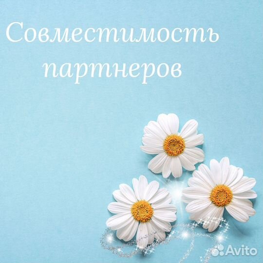 Матрица судьбы