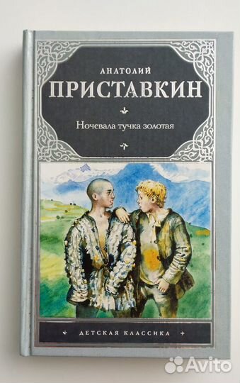 Ночевала тучка золотая. Книга