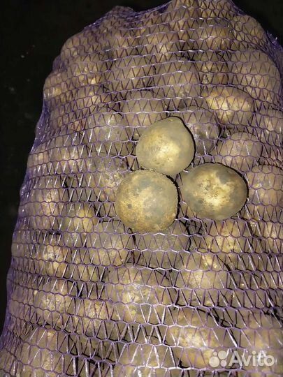 Семена винета