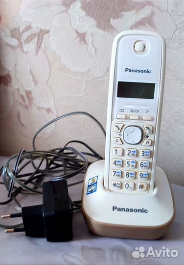 Panasonic