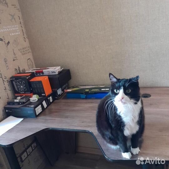 Стол компьютерный цвет Loft игровой