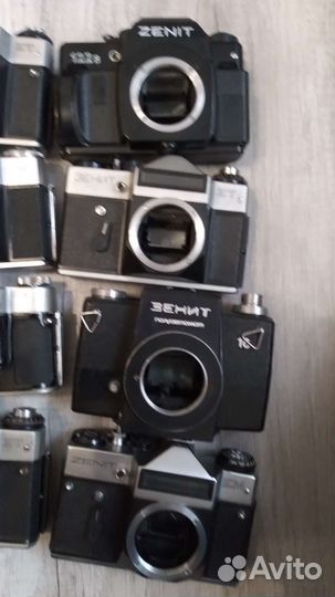 Тушки зенит 40шт