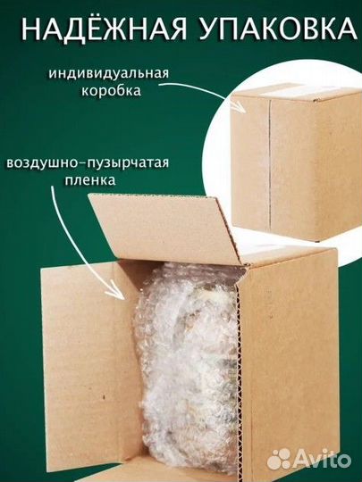 Чистейший мед Белой Акации